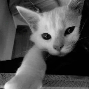 Em Muốn Ta Là Gì (1)