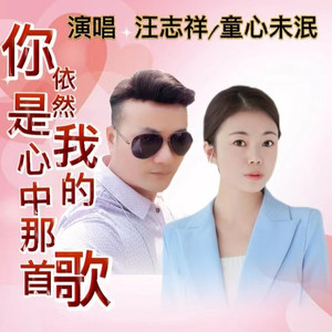 你依然是我心中的那首歌 (合唱)