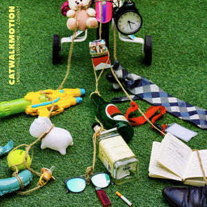 Do We Have to Grow?????