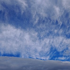 《感谢你绝情 才让我清醒》