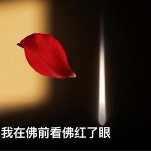 我在佛前看佛红了眼 (Cover 铃小花)