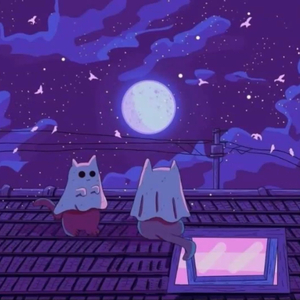 ☾.‎˖