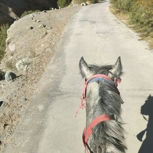 我在等待一场奇迹