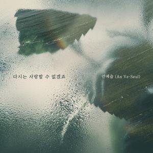 다시는 사랑할 수 없겠죠