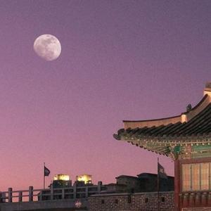 The Night Stayed With Us