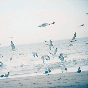 理想三旬