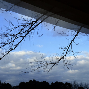 我知世界如露水般短暂