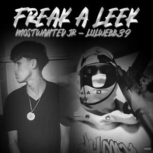 Freak A Leek (feat. Lulwebb39)