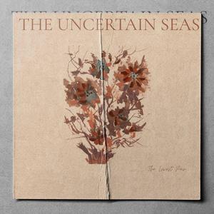 The Uncertain Seas