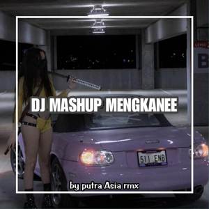 DJ MASHUP TERBARU MENGKANEE