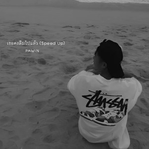 เธอคงลืมไปแล้ว (Speed Up)