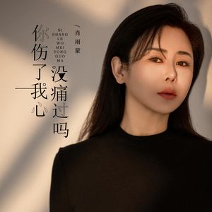 你伤了我 心没痛过吗