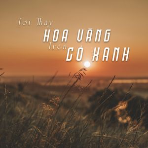 Tôi Thấy Hoa Vàng Trên Cỏ Xanh