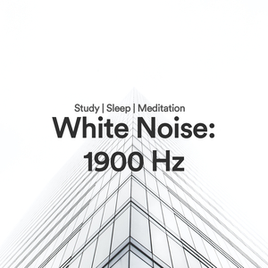 Ohrentherapie: Rauschen