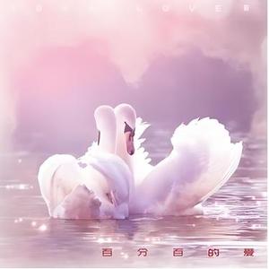 百分百的爱