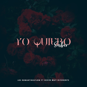 Yo Quiero Saber