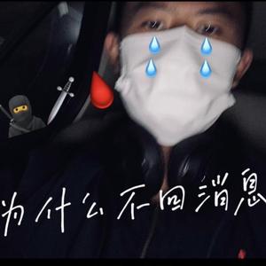 为什么不回消息