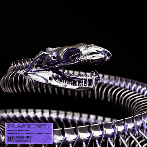 ·plasticity· | eli store & travis scott type beat