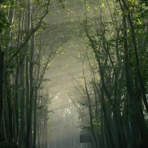 扫腿舞（纯享版）