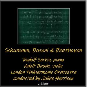 Violin Sonata NO. 2 in E Minor, Op. 36A: II. Presto - Attacca
