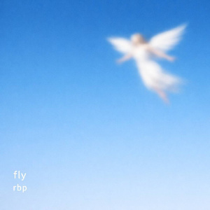 fly