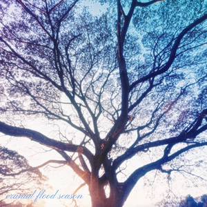 cranial flood season