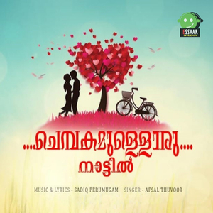 Chembakamulloru Nattil