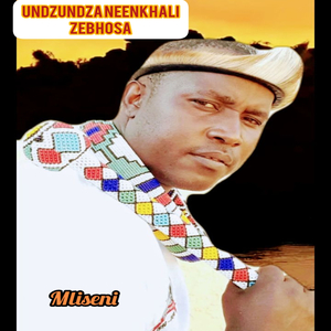 Mliseni