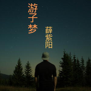 今夜你又不回来 (DJ版)