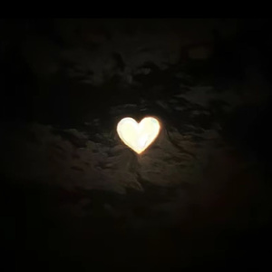 爱本身就是无解的命题