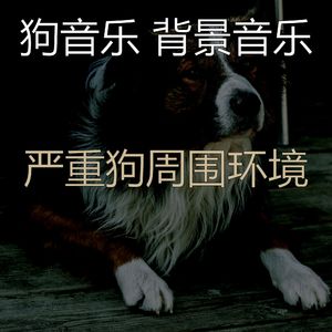 柔和的小狗时刻