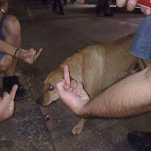 PUMPED UP KICKS (PFISTA X QROH REMIX)