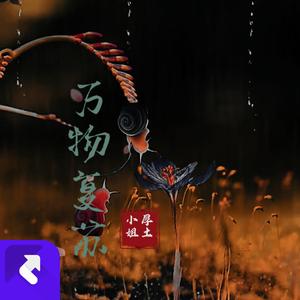 万物复苏 (DJ版)