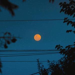 いつも何度でも