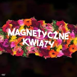 Kwiaty Magnetyczne
