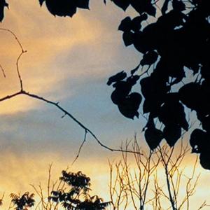 C̶r̶u̶s̶h̶ ̶D̶i̶e̶g̶o̶(Prod.草原查理&XXXMPSEVEN)