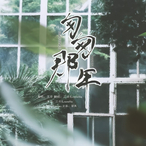 匆匆那年