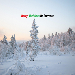 Merry Christmas Mr. Lawrence
