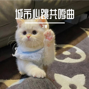 城市心跳共鸣曲