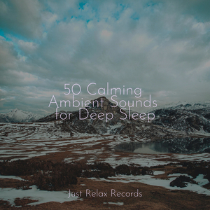 Midnight Masquerade's Solitude