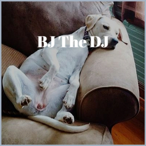 Can we still be friends