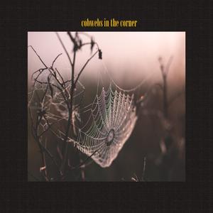 Cobwebs in the Corner