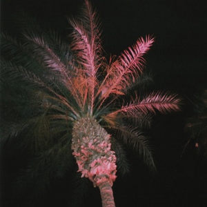 in case i die tonight