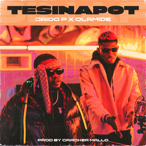 Tesina Pot
