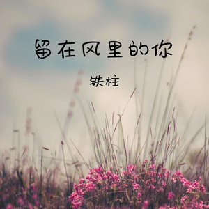 留在风里的你