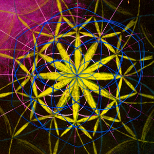 Venus Mayan (Dty Remix)