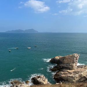 晨光穿透林间缝隙