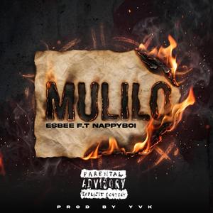 Mulilo (feat. NappyBoi)