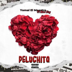 Peluchita (feat. Nerd boy)