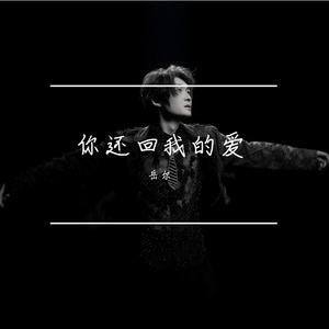 你还回我的爱